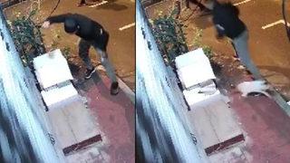 Konya'dan sonra bu kez İstanbul! Hayvana şiddet bitmiyor... Kedi yuvasını yumrukla parçaladı