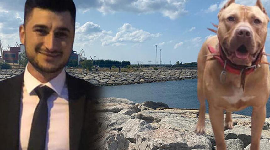 Cansız bedeni köpek dişi izleriyle doluydu! Denizde pitbull dehşetinde 'rıza' ve 'kışkırtma' detayı: Boğularak mı öldü yoksa saldırıdan mı?