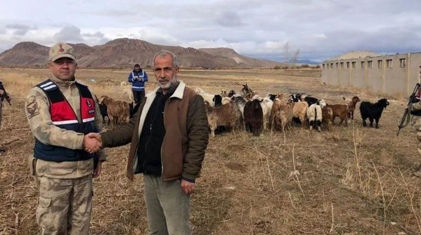 Kaybolan ke&ccedil;i s&uuml;r&uuml;s&uuml; dron ile bulundu