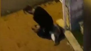 Sokak köpeğini elleriyle boğmaya çalıştı! Sarıyer'deki görüntü sosyal medyayı ayağa kaldırdı