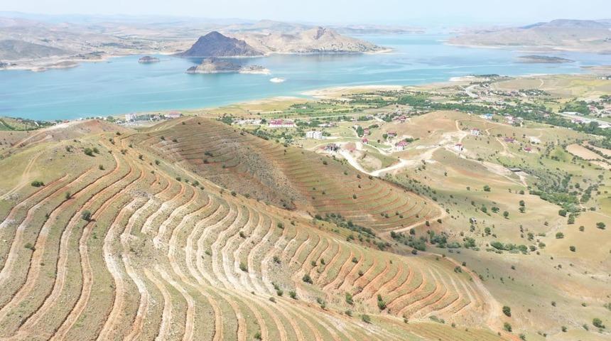 Tunceli’de 56 bin fidan toprakla buluştu