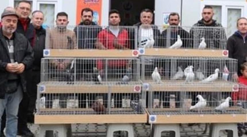 2022’nin en güzel dolapçı güvercinleri belirlendi