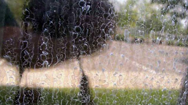 Camda kalan su lekeleriyle vedalaşın! Bu yöntem camlarınızı ayna gibi pırıl pırıl yapacak 