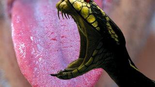 Yılanın ısırdığı adamın dili doktorlar tarafından hayatını kurtarmak için kesildi! “Her gece rüyamda gördüm”