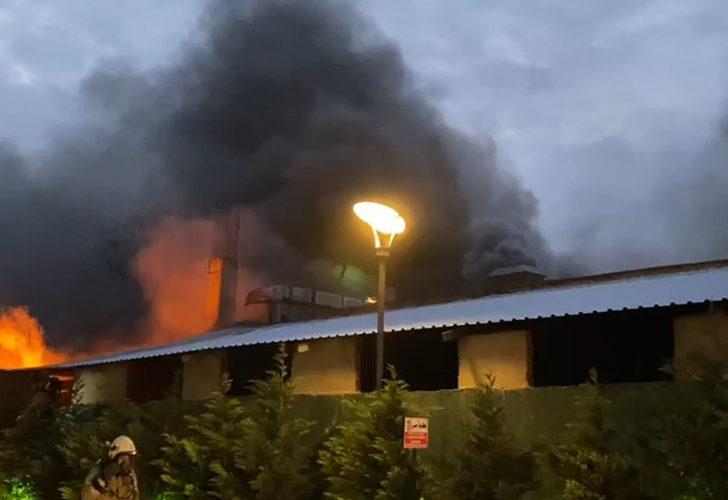 SON DAKİKA | İstanbul Esenyurt'ta fabrika yangını! Çok sayıda itfaiye ekibi sevk edildi