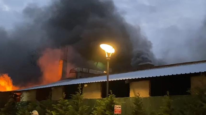 SON DAKİKA | İstanbul Esenyurt'ta fabrika yangını! Çok sayıda itfaiye ekibi sevk edildi