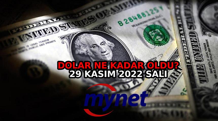 Dolar ne kadar? Euro kaç TL? 29 Kasım 2022 Salı euro, dolar fiyatları canlı ve anlık takip!