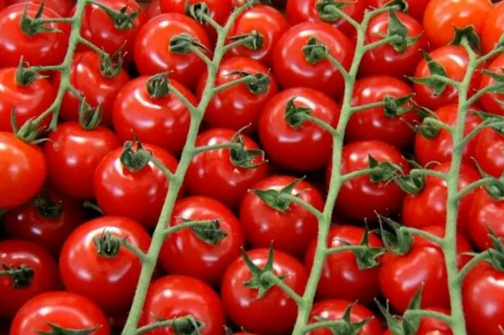 Cinsel gücünüzü iki katına çıkaracak! Testosteron seviyelerini uçurur G3