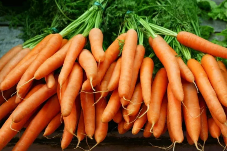 Cinsel gücünüzü iki katına çıkaracak! Testosteron seviyelerini uçurur G4