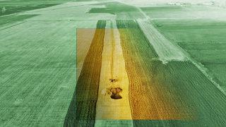 Tarlanın ortasında büyük bir gürültüyle oluştu! Toz bulutları dağılınca anladı, hemen yetkilere haber verdi