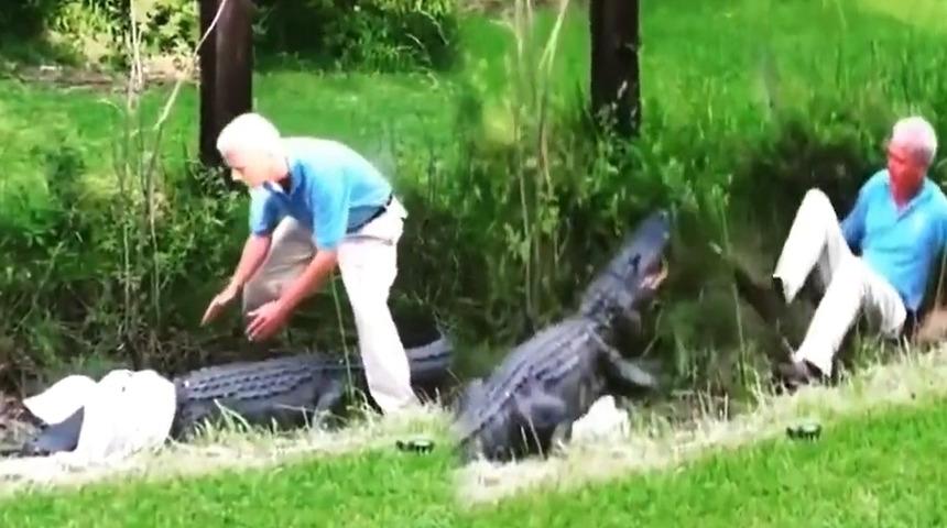 Timsahı yakalamak isterken av oluyordu! Kimin av kimin avcı olduğunu kimse anlayamadı