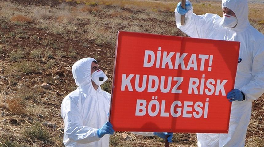 Kars'taki kuduz haberi endişe yarattı! Saldırgan hareketleri sonrası ölü bulundu, köy karantinaya alındı