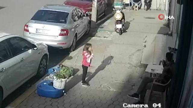 Çay içerken başına konan kumru şaşkına uğrattı! Yılbaşı bileti alacağım