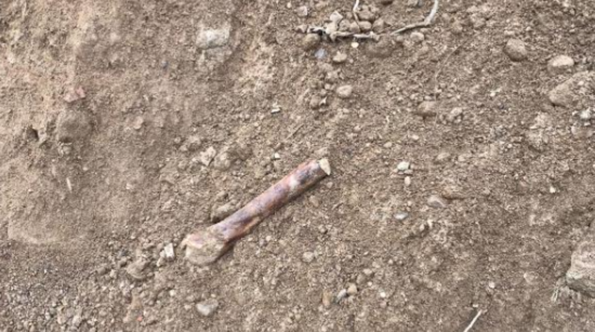 Çalışmalar hemen durduruldu! Aydın'da inşaat kazısında kafatası ve kemik bulundu 