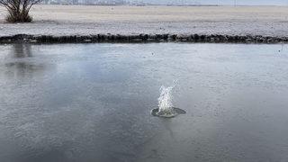 İşte Türkiye'nin en soğuk noktası! Arabalar buz tuttu nehirler dondu... Fotoğrafları gören üşüyor