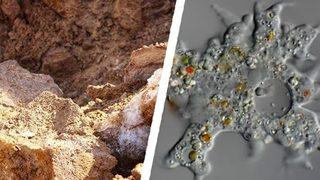 50.000 yıllık o virüs yeniden mi canlanacak? Korkutan zombi virüsü uyarısı! ''İnsanlık için büyük bir tehlike...''