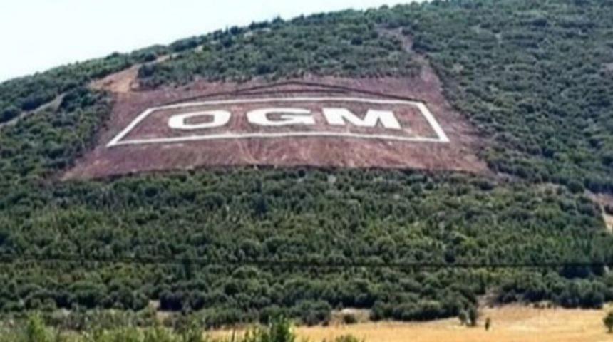 OGM İŞKUR işçi alım başvurusu ne zaman? OGM işçi alım şartları nedir? 