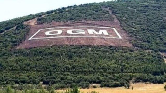 OGM İŞKUR işçi alım başvurusu ne zaman? OGM işçi alım şartları nedir? 