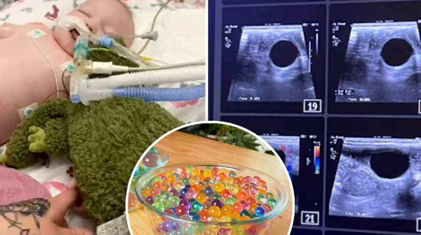 Tehlike hâlâ devam ediyor! Su maymunu yutan bebek neredeyse ölüyordu