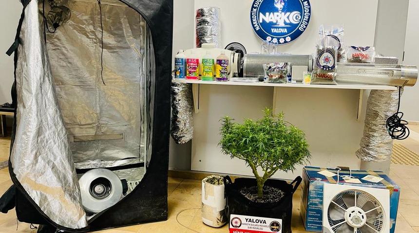 Yalova'da uyuşturucu operasyonunda 20 zanlı yakalandı