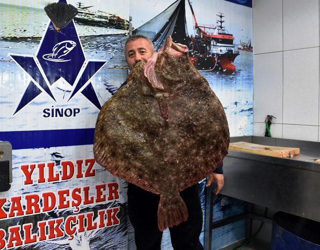 Sinop'ta balıkçı ağına 10 kilogramlık kalkan balığı takıldı