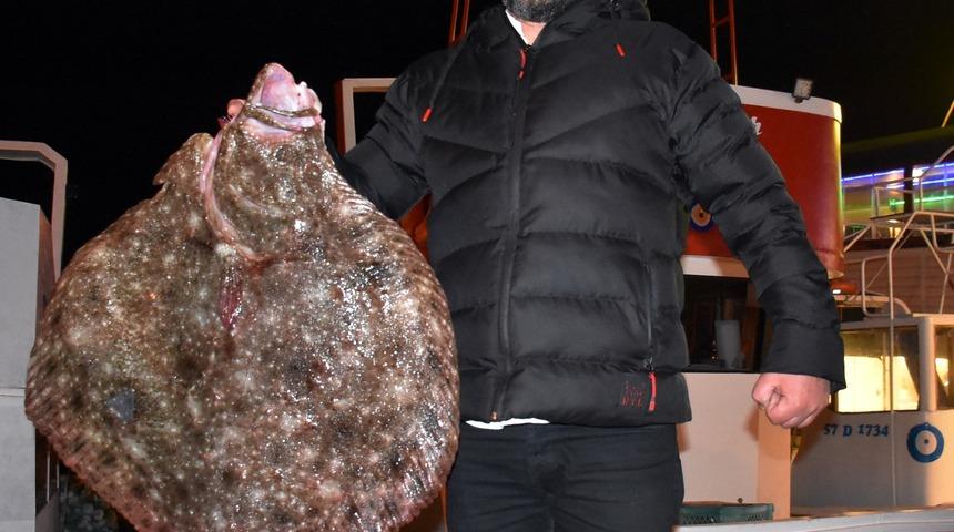 Sinop'ta balıkçı ağına 10 kilogramlık kalkan balığı takıldı
