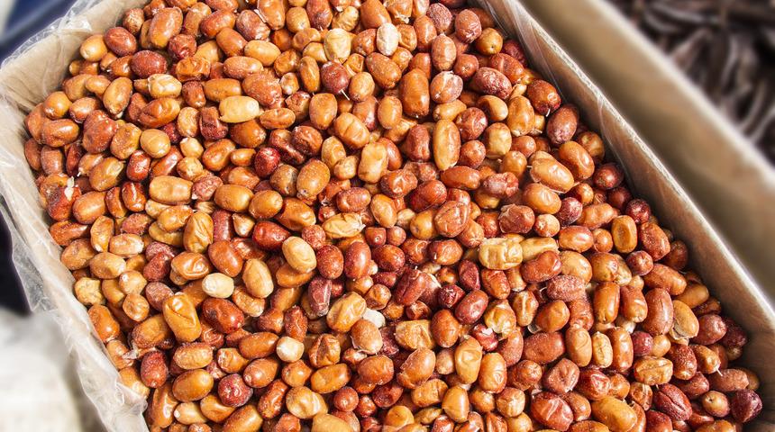 Kemikleri taş gibi yapar, hemoroidi iyileştirir, enfeksiyonu kurutur, eklem ve sırt ağrılarını dindirir