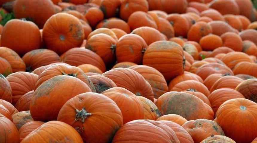 Turuncu antioksidan: Kanser hücrelerine karşı savaşıyor! Faydalarını duyan şaşırdı