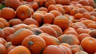 Turuncu antioksidan: Kanser hücrelerine karşı savaşıyor! Faydalarını duyan şaşırdı