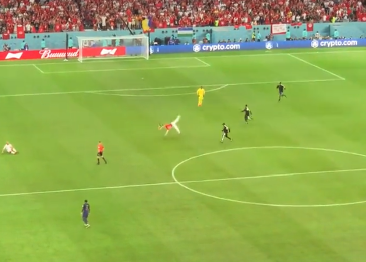 Tunus-Fransa maçında görülmemiş olay! Sahaya daldı, takla şov yaptı, tribünler dakikalarca alkışladı G5