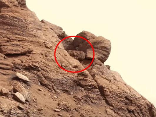 Mars'tan gelen görüntülerdeki akıl almaz detay!