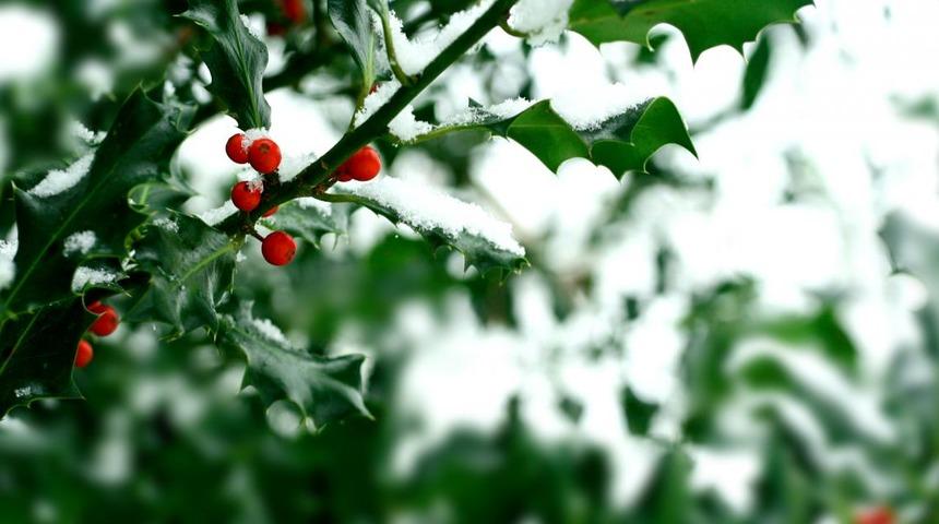 Hoşgeldin Aralık ayı sözleri ve mesajları! Aralık ayı ile ilgili en güzel, en anlamlı RESİMLİ SÖZLER!