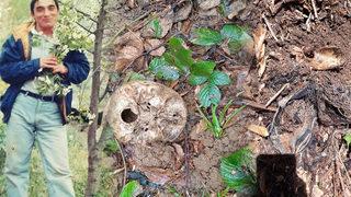 Ormanlık alanda insan kemikleri bulunmuştu! Sır perdesi aralandı, kemikler Hasan Germiç’e ait! 'Doğal yollarla öldüğüne inanmıyoruz'