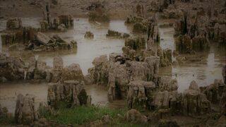 Van Gölü'nün kalbindeki sır ortaya çıktı!  'Normalde görmemiz mümkün değil' 