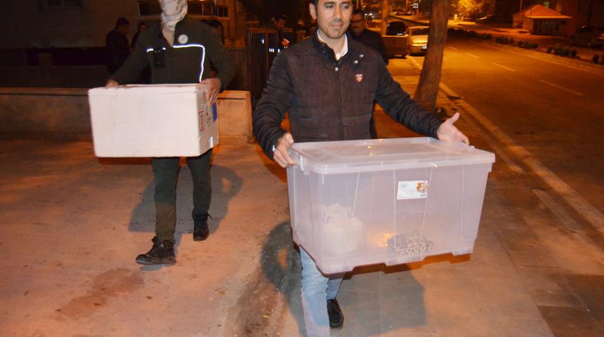 Evden çıkanlar pes dedirtti! Kraliyet pitonu, sakallı ejder, kaplumbağa...