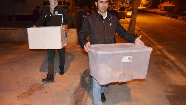 Evden çıkanlar pes dedirtti! Kraliyet pitonu, sakallı ejder, kaplumbağa...