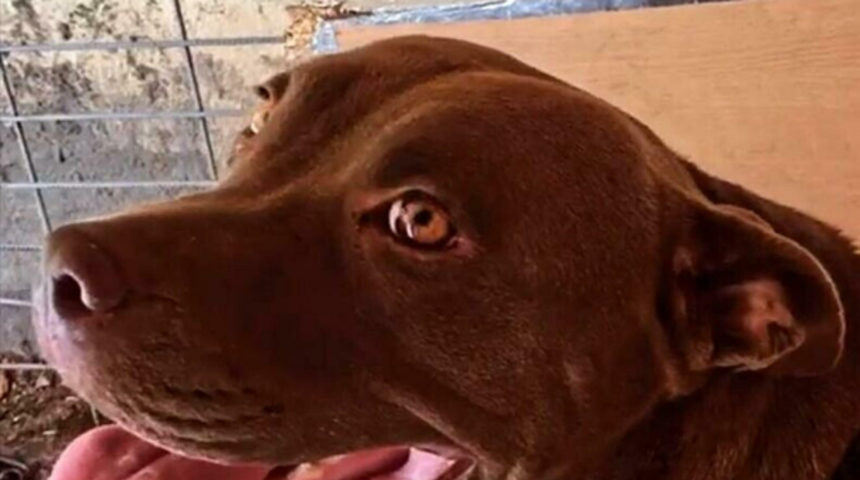 'Ben &ouml;ld&uuml;rmedim' dedi, sanığın arkadaşı her şeyi anlattı: Bana 'ben &ouml;ld&uuml;rd&uuml;m' dedi