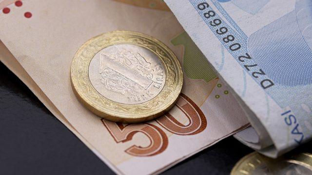 Türkiye Aile Destek Programı ödemeleri bugün başlıyor