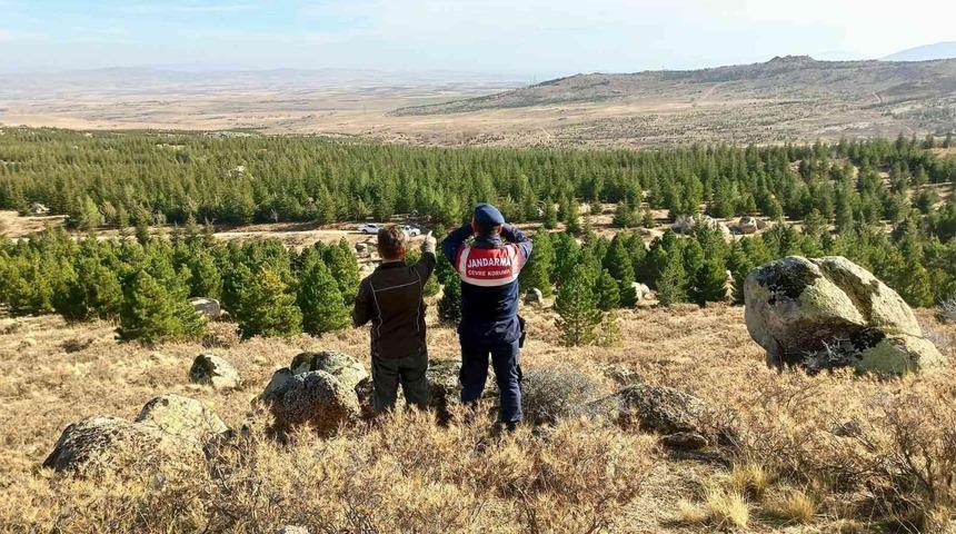Aksaray’da jandarma Anadolu Yaban Koyunlarını dron ile takip ediyor