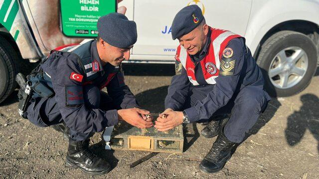Adana'da ses cihazı kullanılarak avlanan 40 saka kuşu doğaya salındı