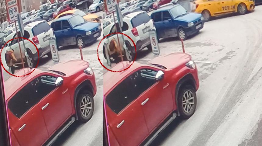 Edirne'de hareketli anlar! Sokak ortasında çatışma çıktı... Küçük çocuk mermilerden son anda kurtuldu