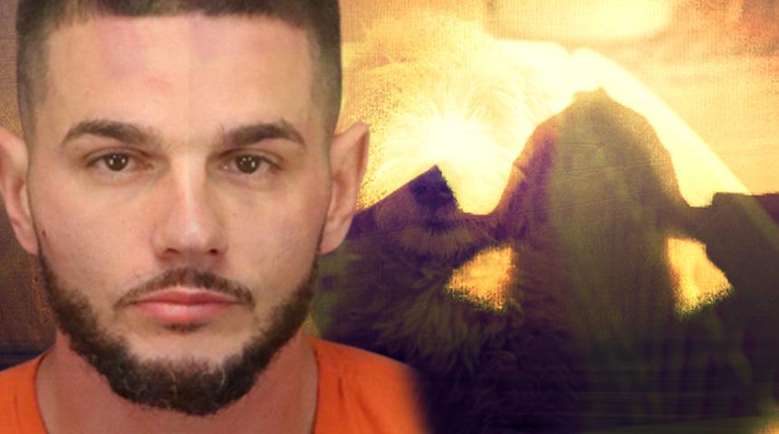 İğrenç olay! Halka açık alanda arkadaşının köpeğini cinsel ilişkiye girmek için zorladı... Çevredekilere aldırış etmedi