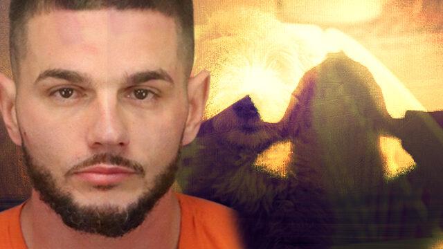 İğrenç olay! Halka açık alanda arkadaşının köpeğini cinsel ilişkiye girmek için zorladı... Çevredekilere aldırış etmedi