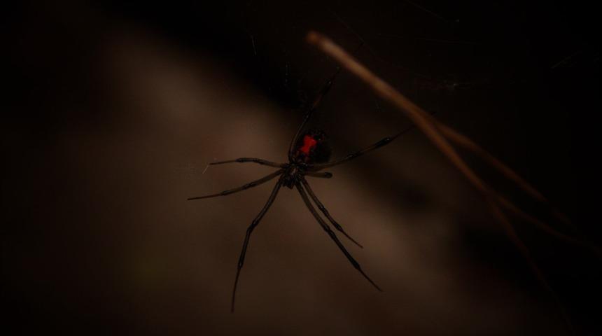 Bu şikayetle acile başvuruluyor, ne olduğu analiz edilince ortaya çıktı! Kramp tüm vücuda yayılıyor