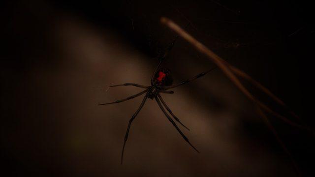 Bu şikayetle acile başvuruluyor, ne olduğu analiz edilince ortaya çıktı! Kramp tüm vücuda yayılıyor