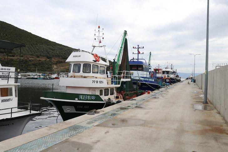 Yalova'da balıkçılığın merkezi Kapaklı köyünün tekneleri döviz de kazandırıyor