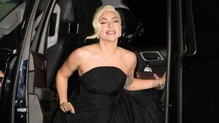 Lady Gaga'nın köpeğini kaçıran kişiye 21 yıl hapis!