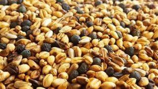 Bir kasesi bin derda deva oluyor! Vücudu baştan aşağı yeniliyor: Kavurganın şaşırtan faydaları