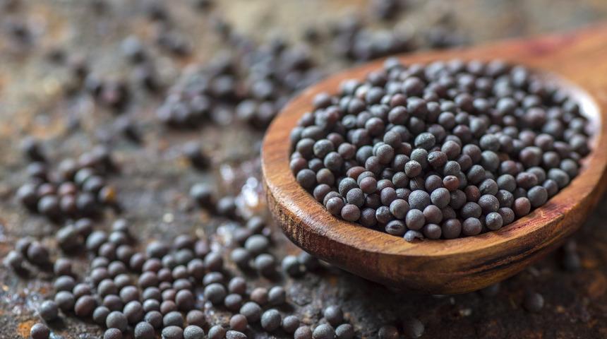 Hardal tohumu faydaları nelerdir, ne işe yarar? Hardal tohumu nasıl kullanılır, yan etkisi var mı?