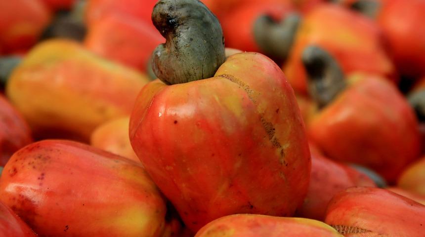 Ereksiyon hızını iki katına çıkarıyor, güçlendiriyor!